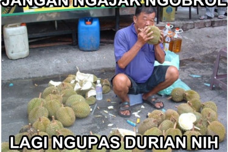 Detail Foto Durian Lucu Nomer 17