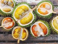 Detail Foto Durian Lucu Nomer 23