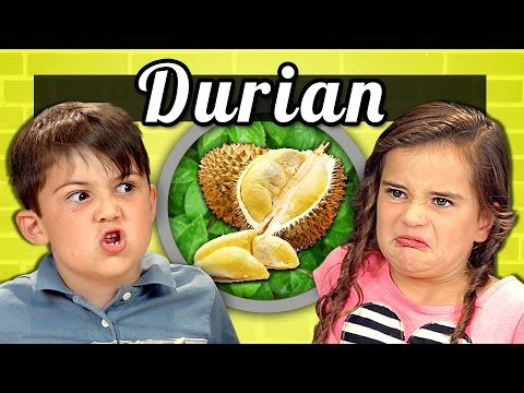 Detail Foto Durian Lucu Nomer 27