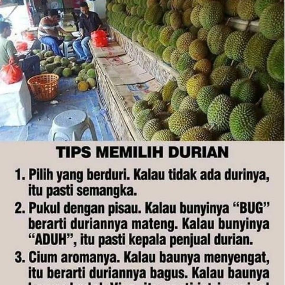 Detail Foto Durian Lucu Nomer 6