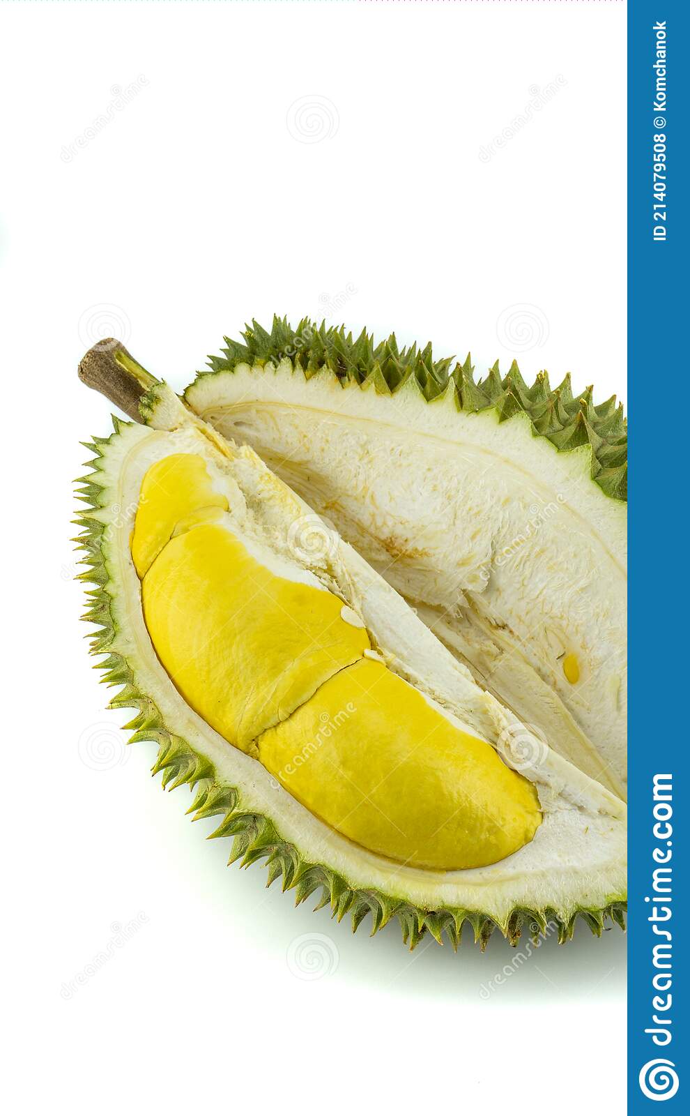 Detail Foto Durian Montong Nomer 13