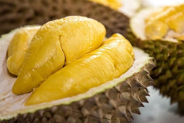 Detail Foto Durian Musang King Nomer 15