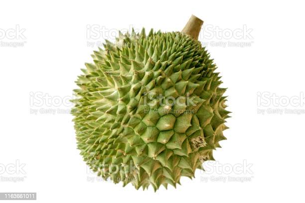 Detail Foto Durian Musang King Nomer 19