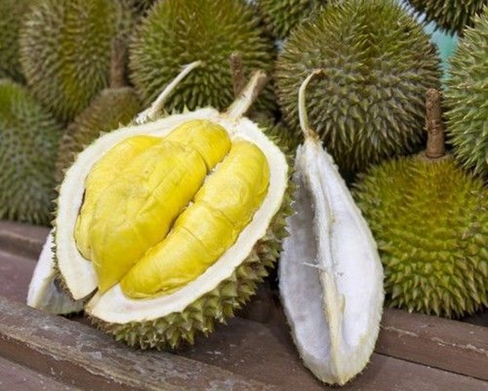 Detail Foto Durian Musang King Nomer 2