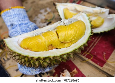 Detail Foto Durian Musang King Nomer 23