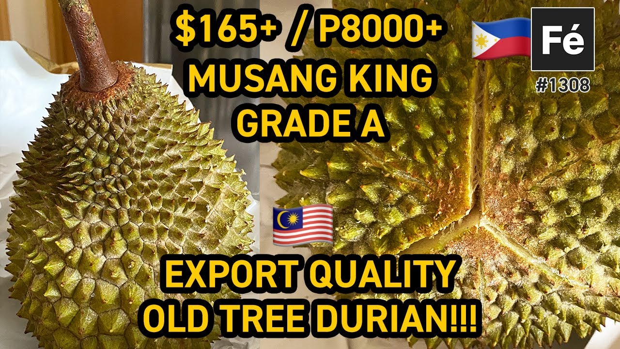 Detail Foto Durian Musang King Nomer 44