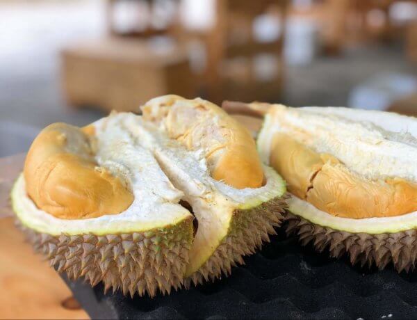 Detail Foto Durian Musang King Nomer 8