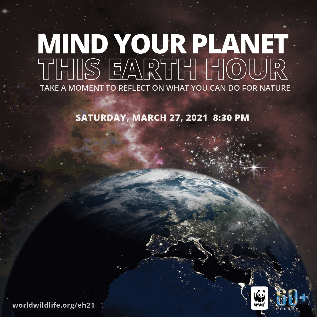 Detail Foto Earth Hour Nomer 20