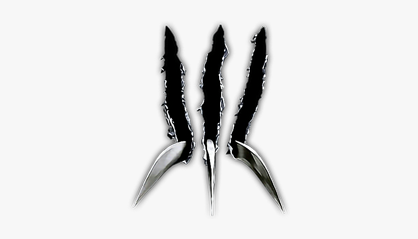 Detail Logo Wolverine Nomer 6