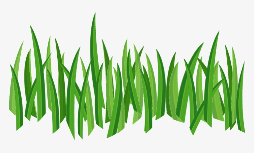 Detail Bush Texture Nomer 13
