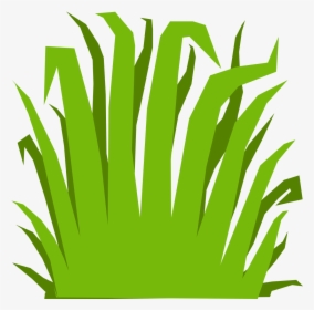 Detail Bush Texture Nomer 16