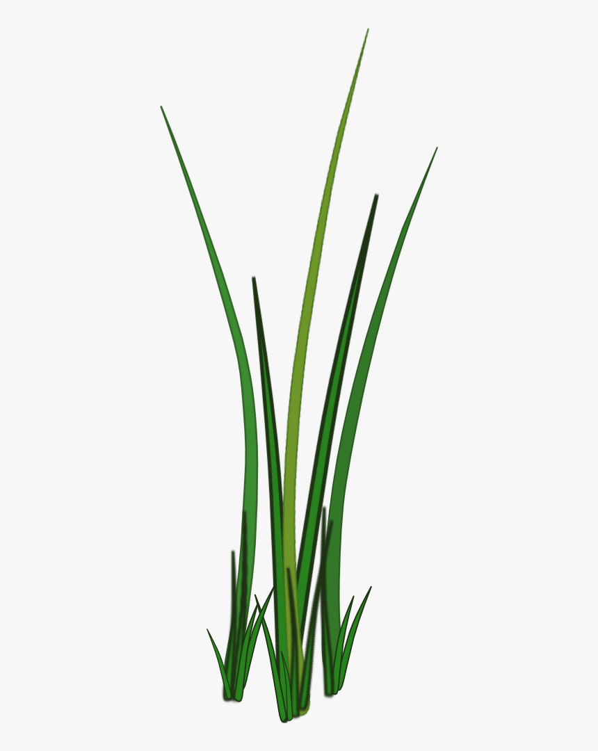 Detail Bush Texture Nomer 6
