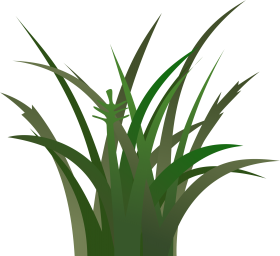 Detail Bush Texture Nomer 9