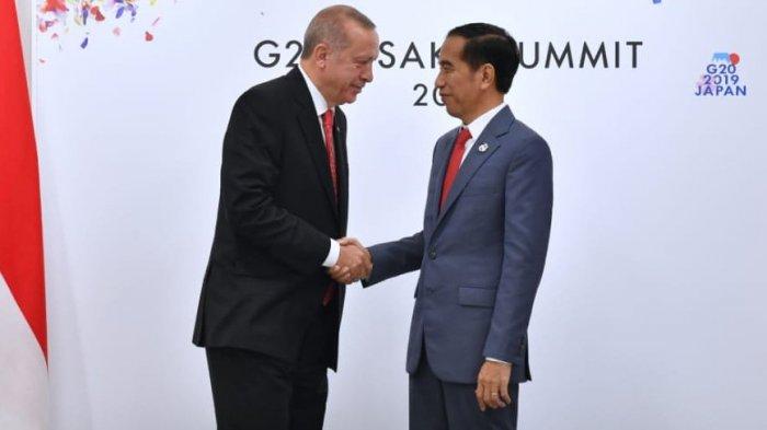 Detail Foto Erdogan Dan Jokowi Nomer 30