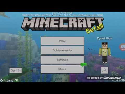 Detail Foto Erpan Minecraft Nomer 17