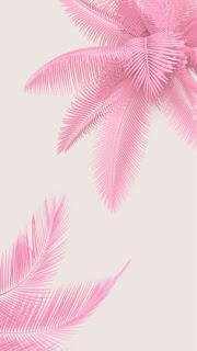 Detail Foto Estetik Warna Pink Nomer 18