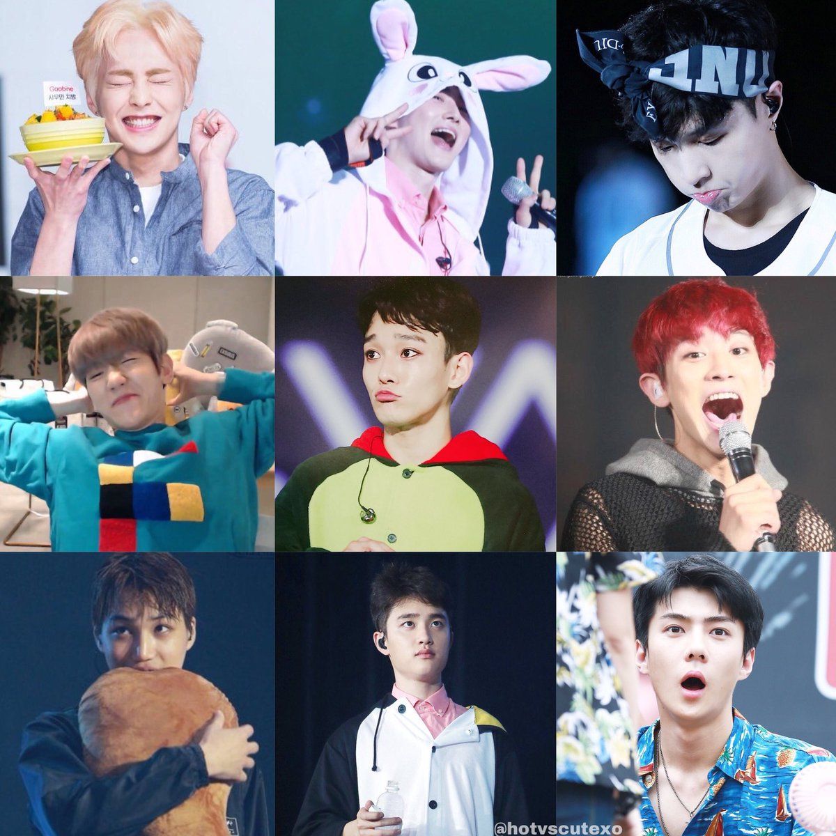 Foto Exo Cute - KibrisPDR