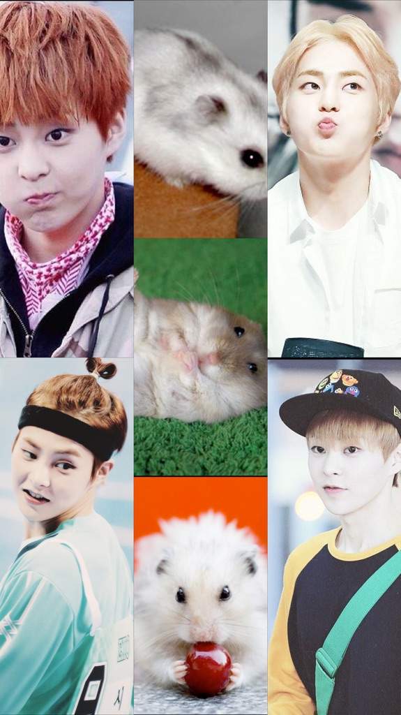 Detail Foto Exo Cute Nomer 12