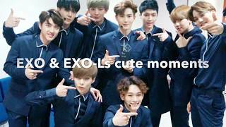 Detail Foto Exo Cute Nomer 42