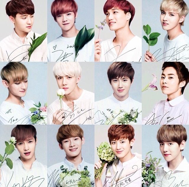 Detail Foto Exo Cute Nomer 6