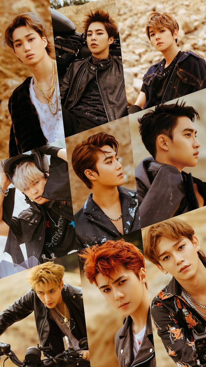 Detail Foto Exo Tempo Nomer 41