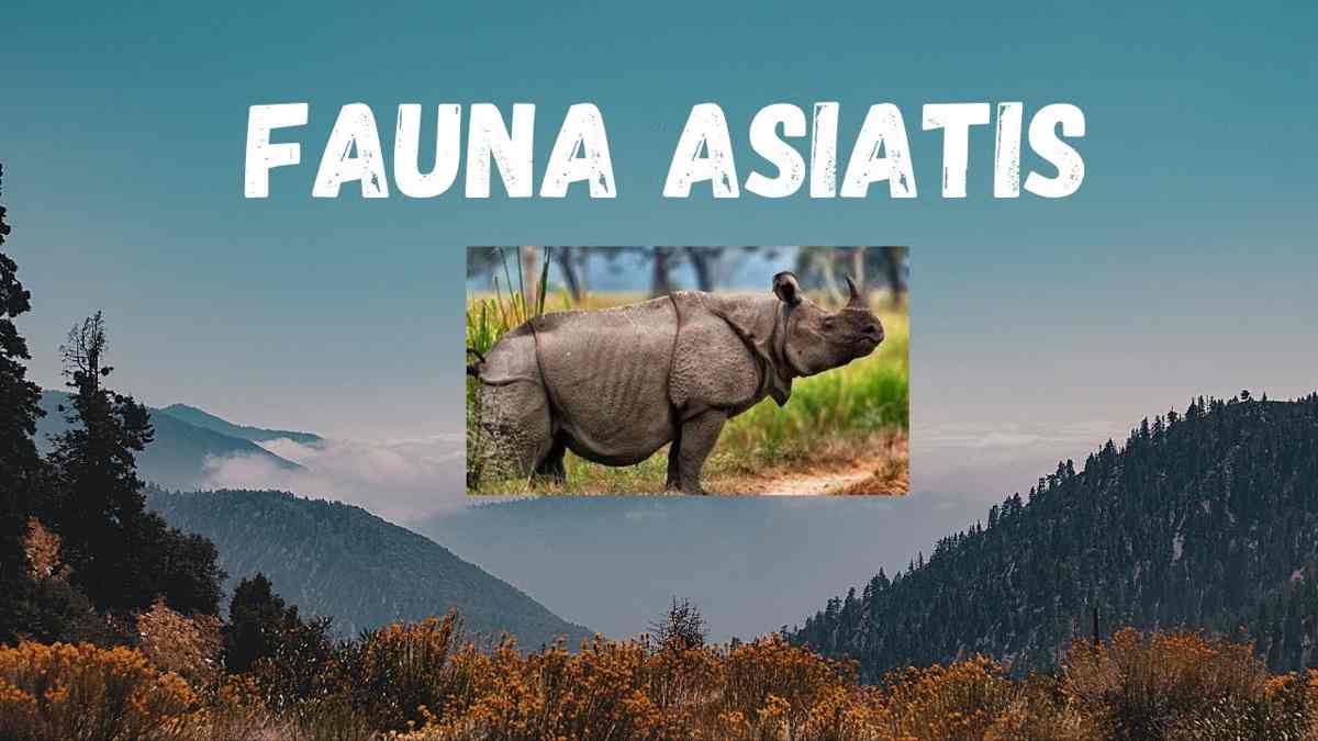 Detail Foto Fauna Asiatis Nomer 16