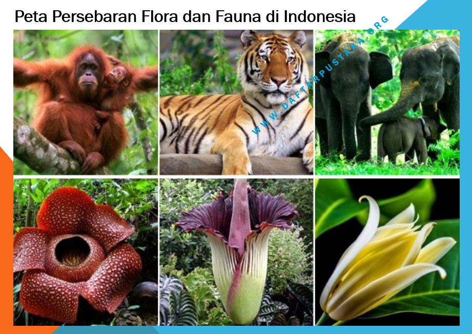 Detail Foto Flora Dan Fauna Nomer 38