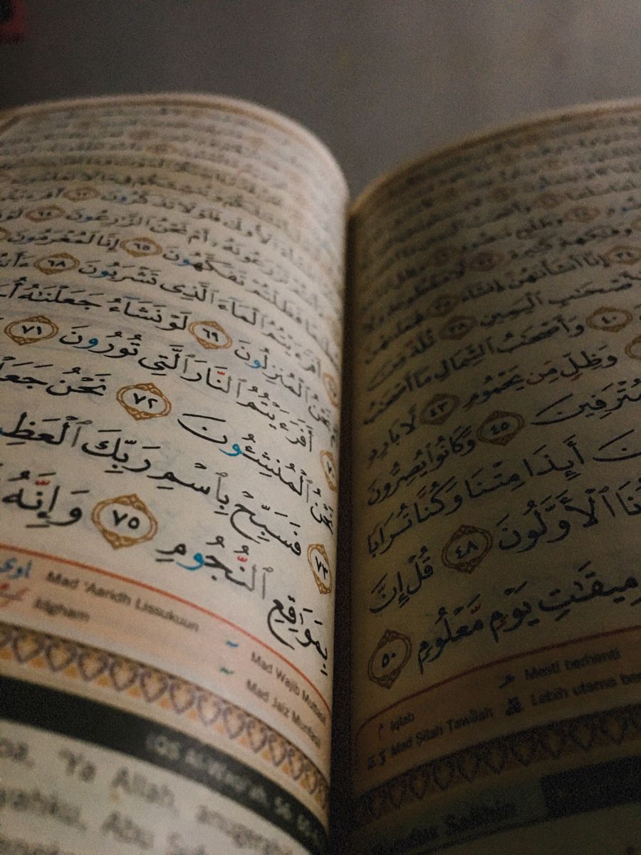 Detail Foto Foto Al Quran Nomer 6