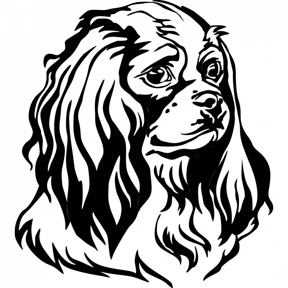 Gsp Hund - KibrisPDR