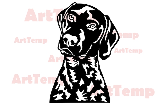 Detail Gsp Hund Nomer 12