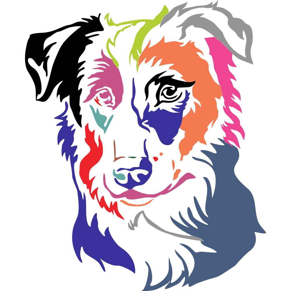 Detail Gsp Hund Nomer 13