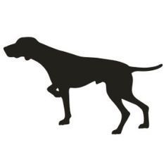 Detail Gsp Hund Nomer 16