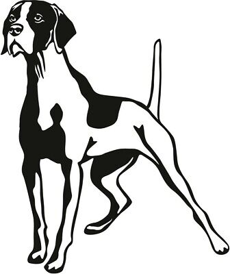 Detail Gsp Hund Nomer 19