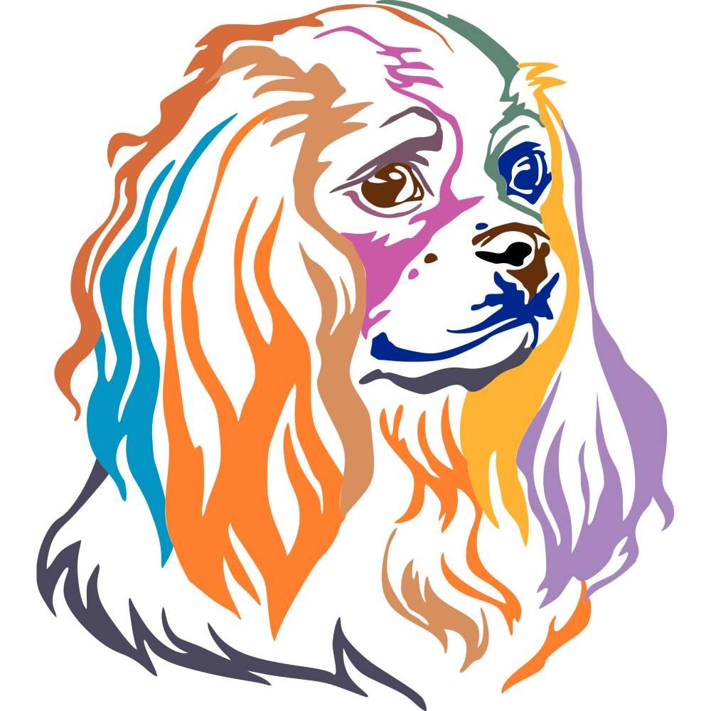 Detail Gsp Hund Nomer 20