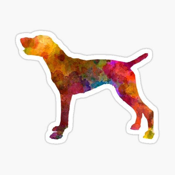 Detail Gsp Hund Nomer 23