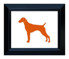 Detail Gsp Hund Nomer 24