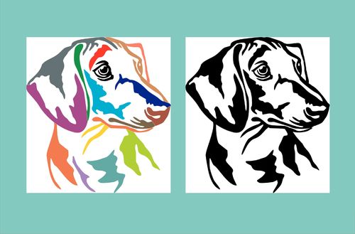 Detail Gsp Hund Nomer 6