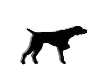 Detail Gsp Hund Nomer 8