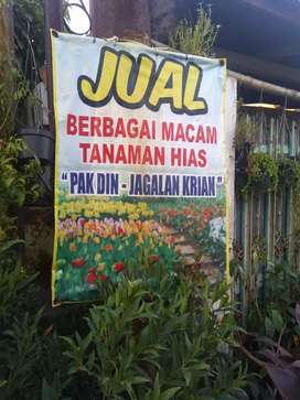 Detail Banner Tanaman Hias Nomer 25