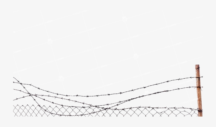 Detail Barb Wire Fence Png Nomer 21