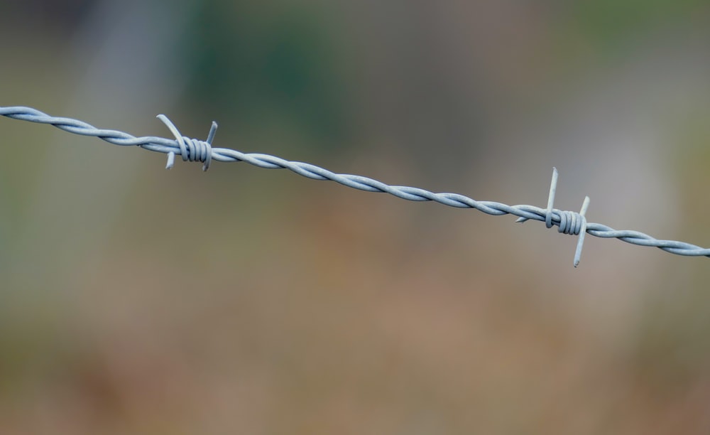 Detail Barb Wire Images Nomer 28