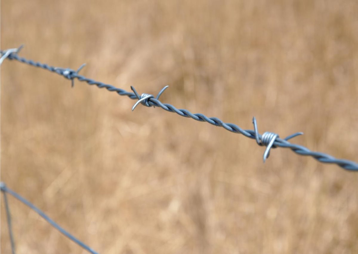 Detail Barb Wire Images Nomer 31