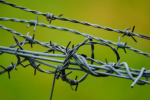 Detail Barb Wire Images Nomer 32