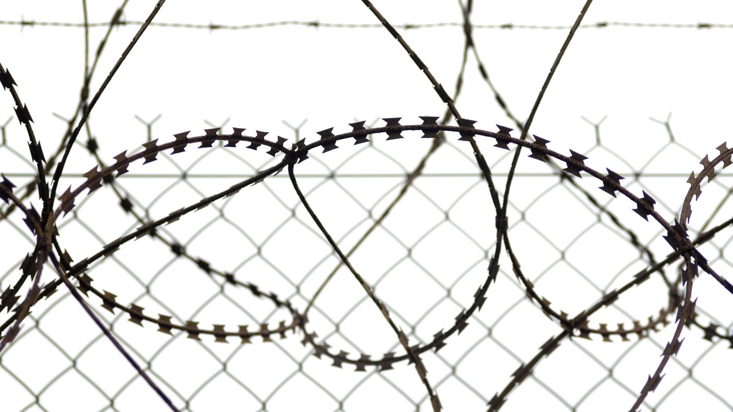 Detail Barb Wire Images Nomer 8