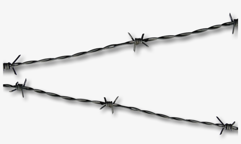 Detail Barb Wire Png Nomer 45