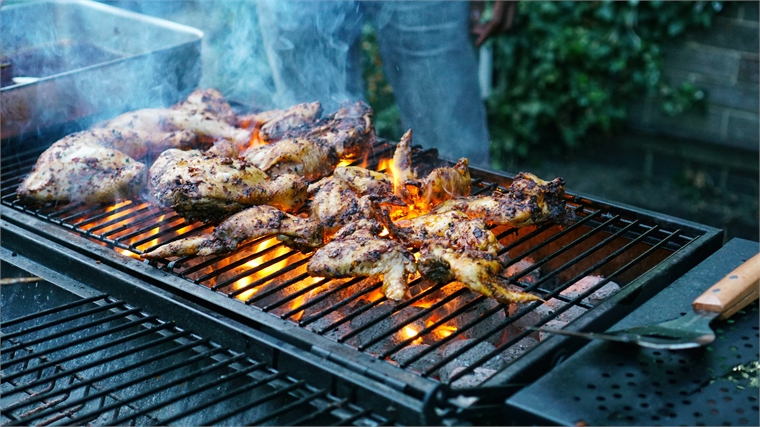 Detail Barbecue Picture Nomer 19