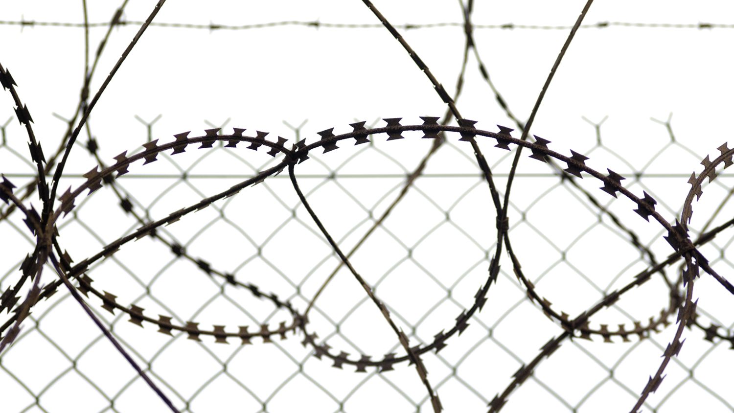 Detail Barbed Wire Fence Images Nomer 27