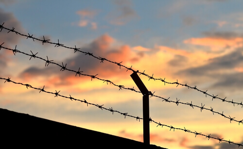 Detail Barbed Wire Fence Images Nomer 33