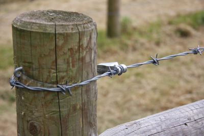 Detail Barbed Wire Fence Images Nomer 56