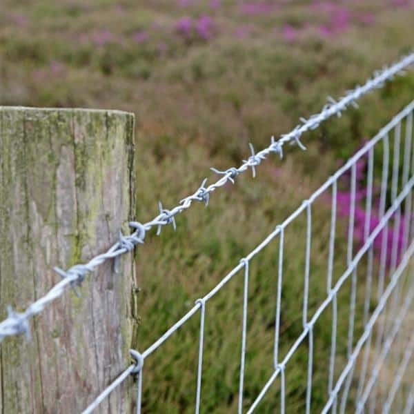 Detail Barbed Wire Fence Pictures Nomer 14